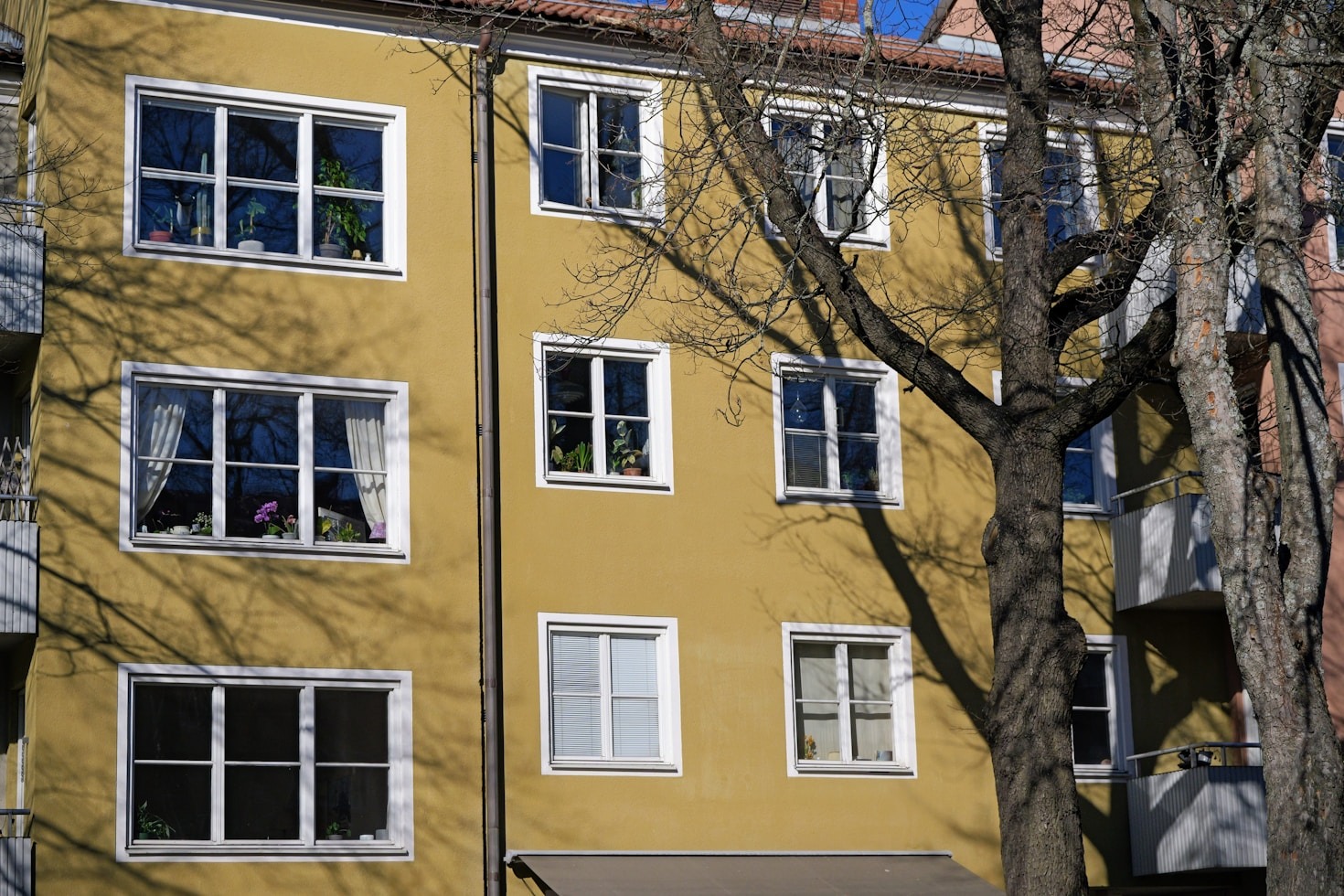 Creating Sustainable Lives Through Housing Solutions